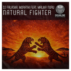 Natural Fighter