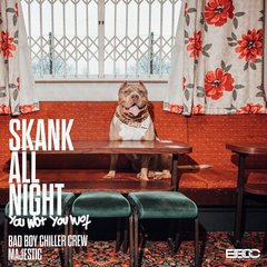 Skank All Night