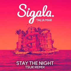 Stay The Night