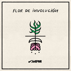 Flor de Involucion