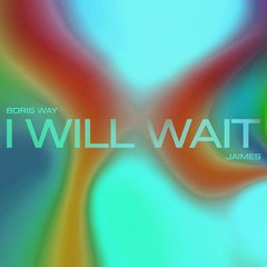 I Will Wait