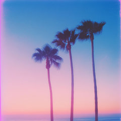 Young, Wild and Free