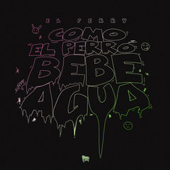 Como El Perro Bebe Agua