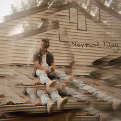 Normal Day