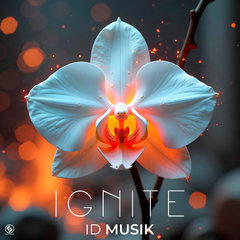 Ignite