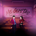 Me Gustas