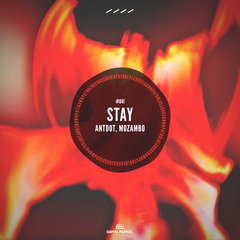 Stay