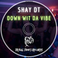 Down Wit Da Vibe