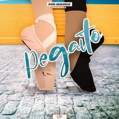 Pegaito