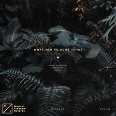 What You've Done To Me