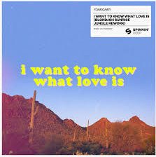 I Want To Know What Love Is