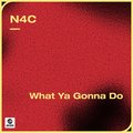 What Ya Gonna Do