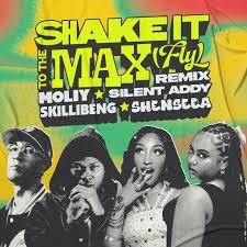 Shake It To The Max