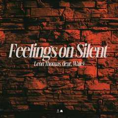 Feelings On Silent