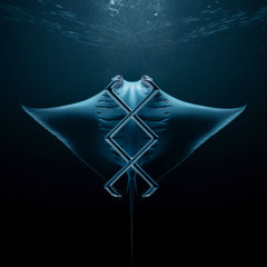 Manta