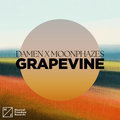 Grapevine