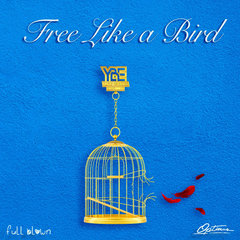 Free Like A Bird