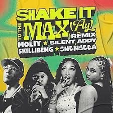 Shake It Up! To The Max