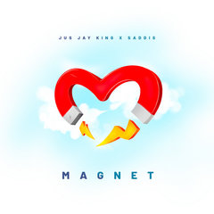 Magnet
