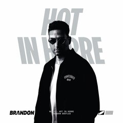 Hot in Herre