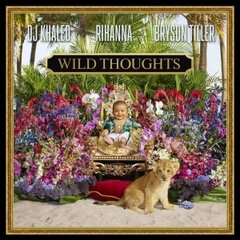 Mesmerize x Wild Thoughts