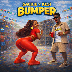 Bumper