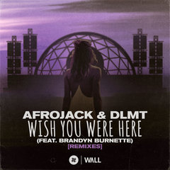 Wish You Were Here